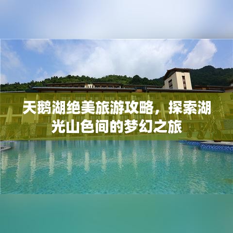天鹅湖绝美旅游攻略，探索湖光山色间的梦幻之旅