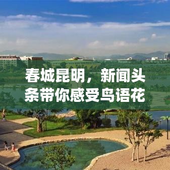 春城昆明，新闻头条带你感受鸟语花香的绝美风光