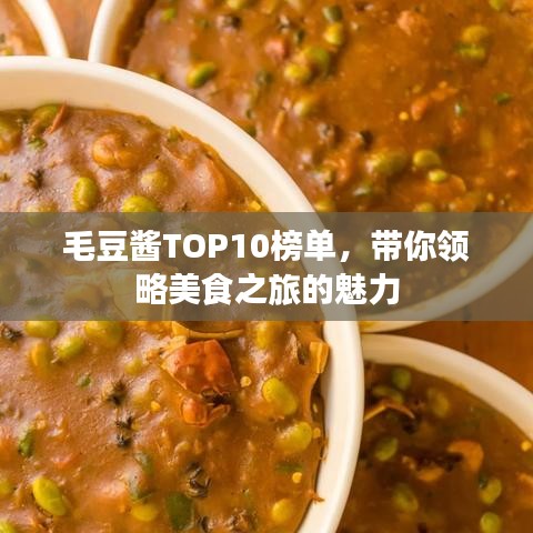 毛豆酱TOP10榜单，带你领略美食之旅的魅力