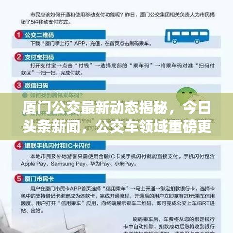 厦门公交最新动态揭秘，今日头条新闻，公交车领域重磅更新