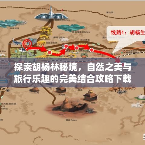 探索胡杨林秘境，自然之美与旅行乐趣的完美结合攻略下载指南
