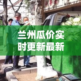 兰州瓜价实时更新最新消息一览，今日瓜价走势大揭秘！