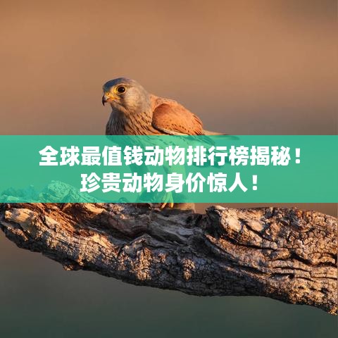 全球最值钱动物排行榜揭秘！珍贵动物身价惊人！