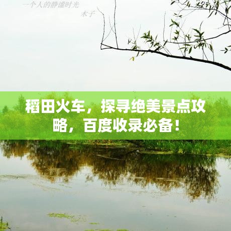 稻田火车，探寻绝美景点攻略，百度收录必备！