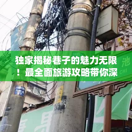 独家揭秘巷子的魅力无限！最全面旅游攻略带你深度探索巷子风情