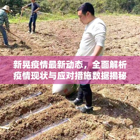 新晃疫情最新动态，全面解析疫情现状与应对措施数据揭秘