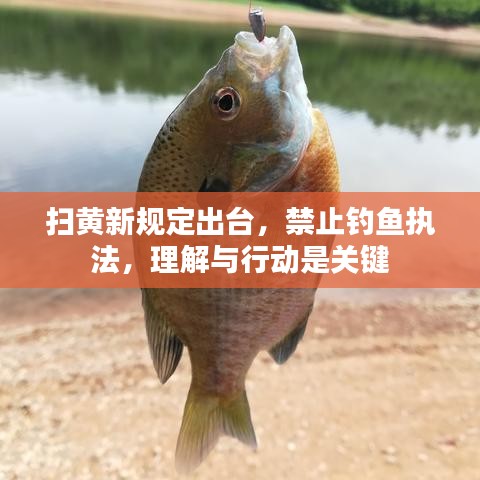 扫黄新规定出台，禁止钓鱼执法，理解与行动是关键