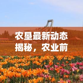 农垦最新动态揭秘，农业前沿探索与发展关注热点