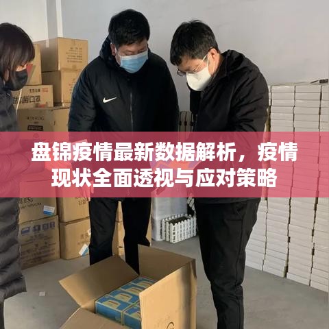 盘锦疫情最新数据解析，疫情现状全面透视与应对策略