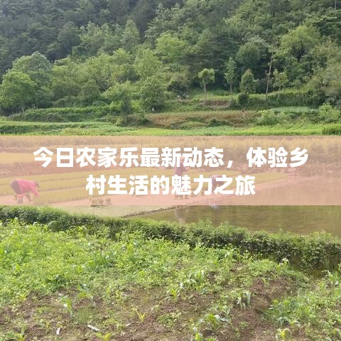 2025年6月13日 第3页