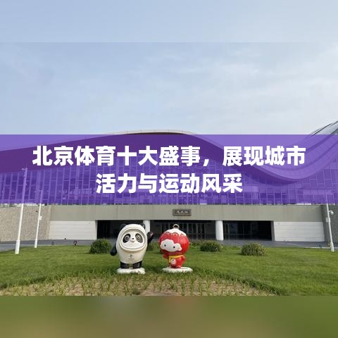 北京体育十大盛事，展现城市活力与运动风采