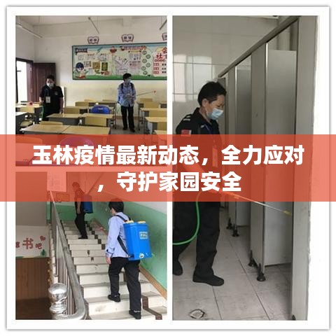 玉林疫情最新动态，全力应对，守护家园安全