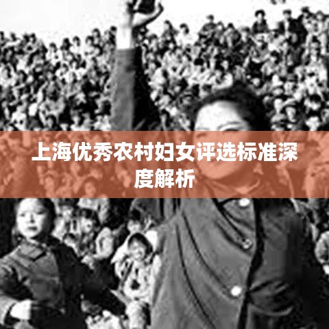 上海优秀农村妇女评选标准深度解析