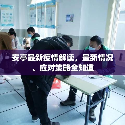 安亭最新疫情解读，最新情况、应对策略全知道