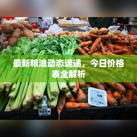 最新粮油动态速递，今日价格表全解析