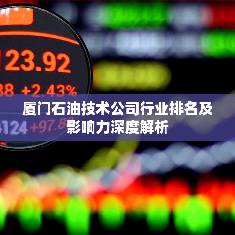 厦门石油技术公司行业排名及影响力深度解析