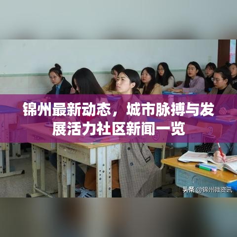 锦州最新动态，城市脉搏与发展活力社区新闻一览