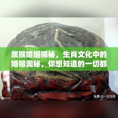 属猴婚姻揭秘，生肖文化中的婚姻奥秘，你想知道的一切都在这里！
