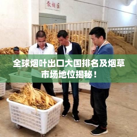 全球烟叶出口大国排名及烟草市场地位揭秘！