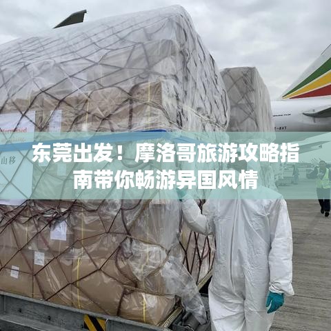 东莞出发！摩洛哥旅游攻略指南带你畅游异国风情