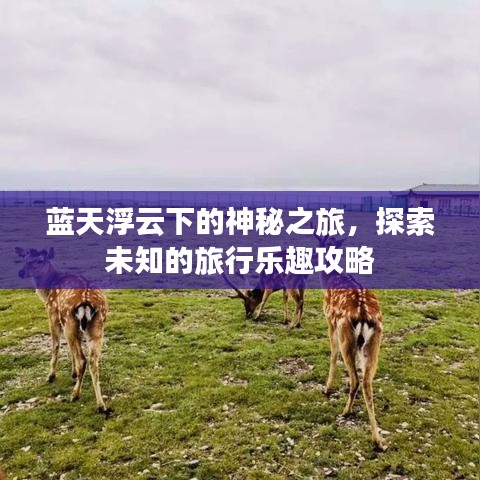蓝天浮云下的神秘之旅，探索未知的旅行乐趣攻略
