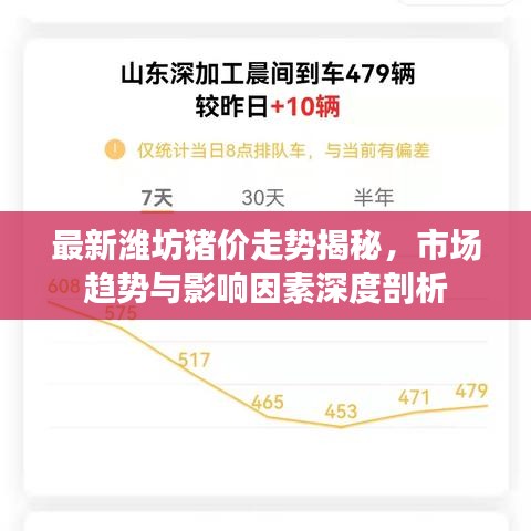 最新潍坊猪价走势揭秘，市场趋势与影响因素深度剖析