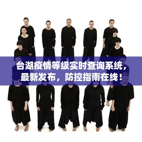 台湖疫情等级实时查询系统，最新发布，防控指南在线！