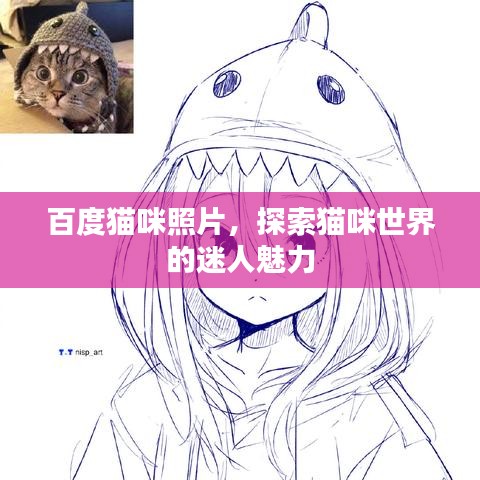 百度猫咪照片，探索猫咪世界的迷人魅力