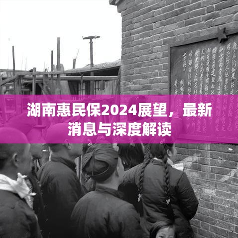 湖南惠民保2024展望，最新消息与深度解读