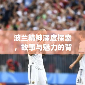 波兰精神深度探索，故事与魅力的背后