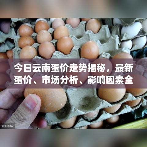 今日云南蛋价走势揭秘，最新蛋价、市场分析、影响因素全解析