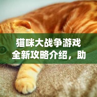 猫咪大战争游戏全新攻略介绍，助你轻松成为猫界霸主！