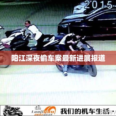 阳江深夜偷车案最新进展报道