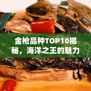 金枪品种TOP10揭秘，海洋之王的魅力与奥秘探寻
