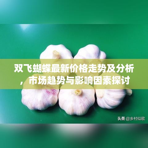 双飞蝴蝶最新价格走势及分析，市场趋势与影响因素探讨