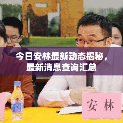今日安林最新动态揭秘，最新消息查询汇总