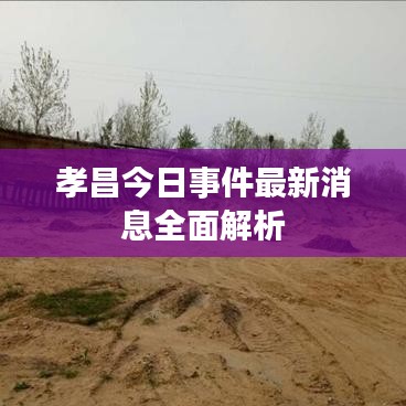 孝昌今日事件最新消息全面解析