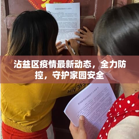 沾益区疫情最新动态，全力防控，守护家园安全