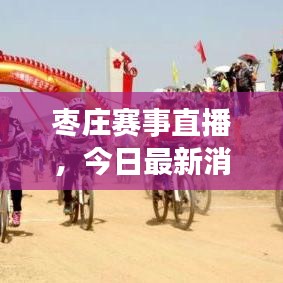 枣庄赛事直播，今日最新消息速递