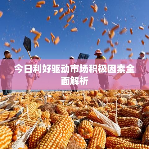 今日利好驱动市场积极因素全面解析