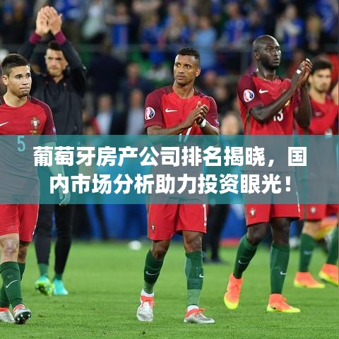 葡萄牙房产公司排名揭晓，国内市场分析助力投资眼光！