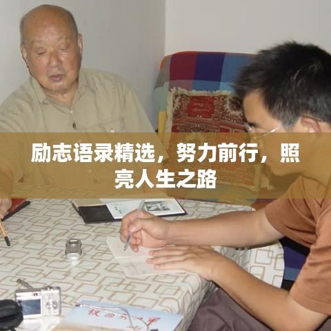 励志语录精选，努力前行，照亮人生之路