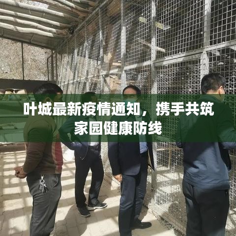 叶城最新疫情通知，携手共筑家园健康防线