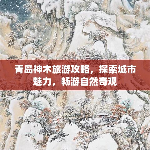 青岛神木旅游攻略，探索城市魅力，畅游自然奇观
