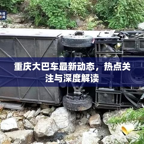 重庆大巴车最新动态，热点关注与深度解读