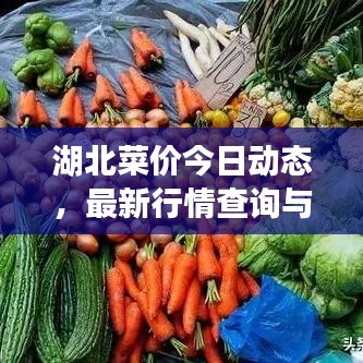 湖北菜价今日动态，最新行情查询与深度剖析