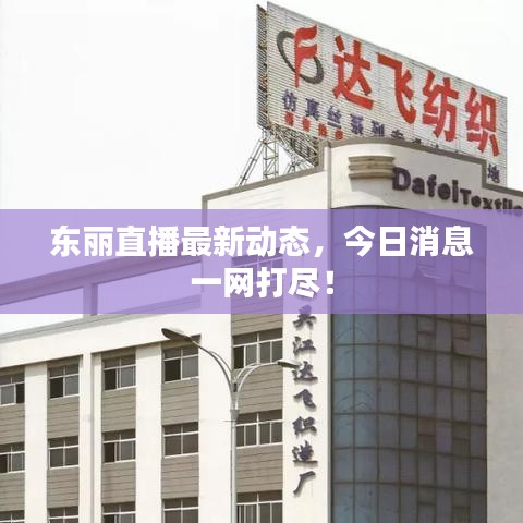 东丽直播最新动态，今日消息一网打尽！