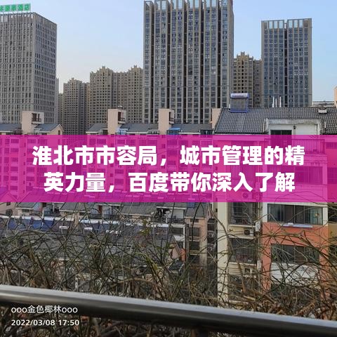 淮北市市容局，城市管理的精英力量，百度带你深入了解