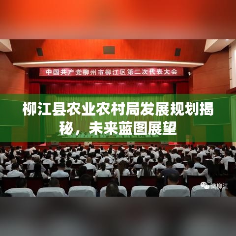柳江县农业农村局发展规划揭秘，未来蓝图展望