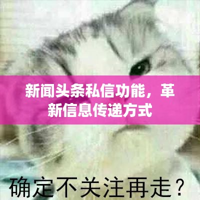 新闻头条私信功能，革新信息传递方式